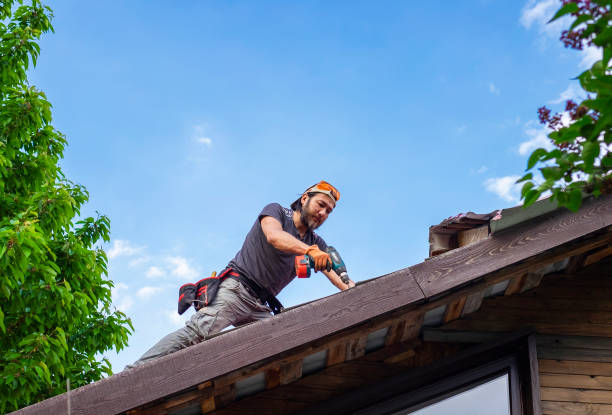 Best Roof Coating and Sealing  in Forest City, PA