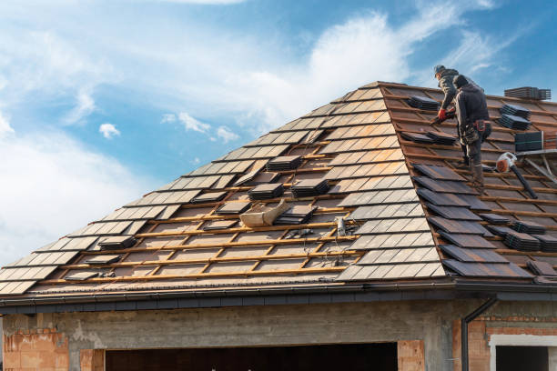 Best Roofing for New Construction  in Forest City, PA