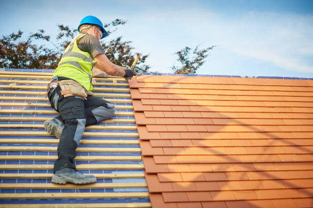 Best Roof Maintenance and Cleaning  in Forest City, PA